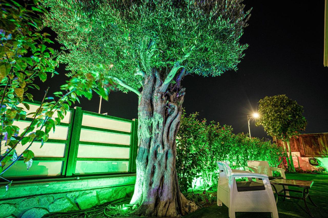 Villa Pomela By Sun And View إيلات المظهر الخارجي الصورة